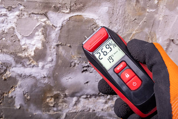 Best Residential Mold Remediation in Dunlap, IL