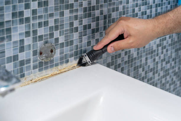 Best Localized Mold Remediation (e.g., coastal areas, humid climates) in Dunlap, IL
