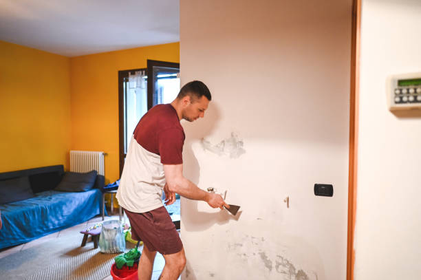 Best Health and Safety Mold Remediation in Dunlap, IL